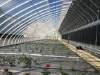 Invernadero Solar con Aislamiento (Solar Greenhouse) Kingpeng